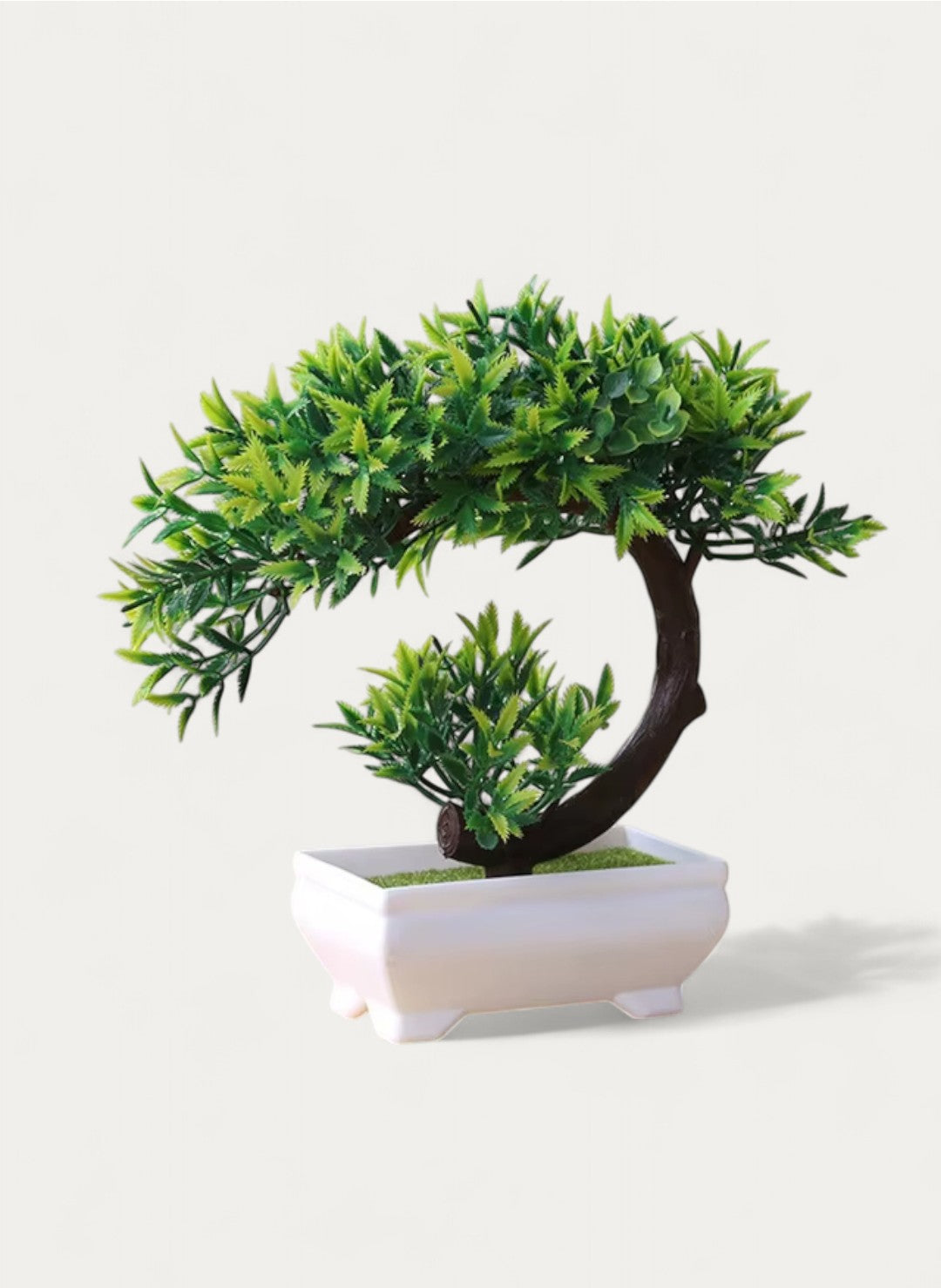 Petit Bonsaï Courbé 19cm