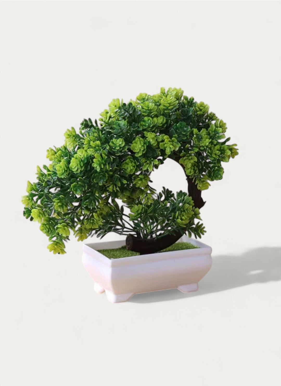 Petit Bonsaï Courbé 19cm