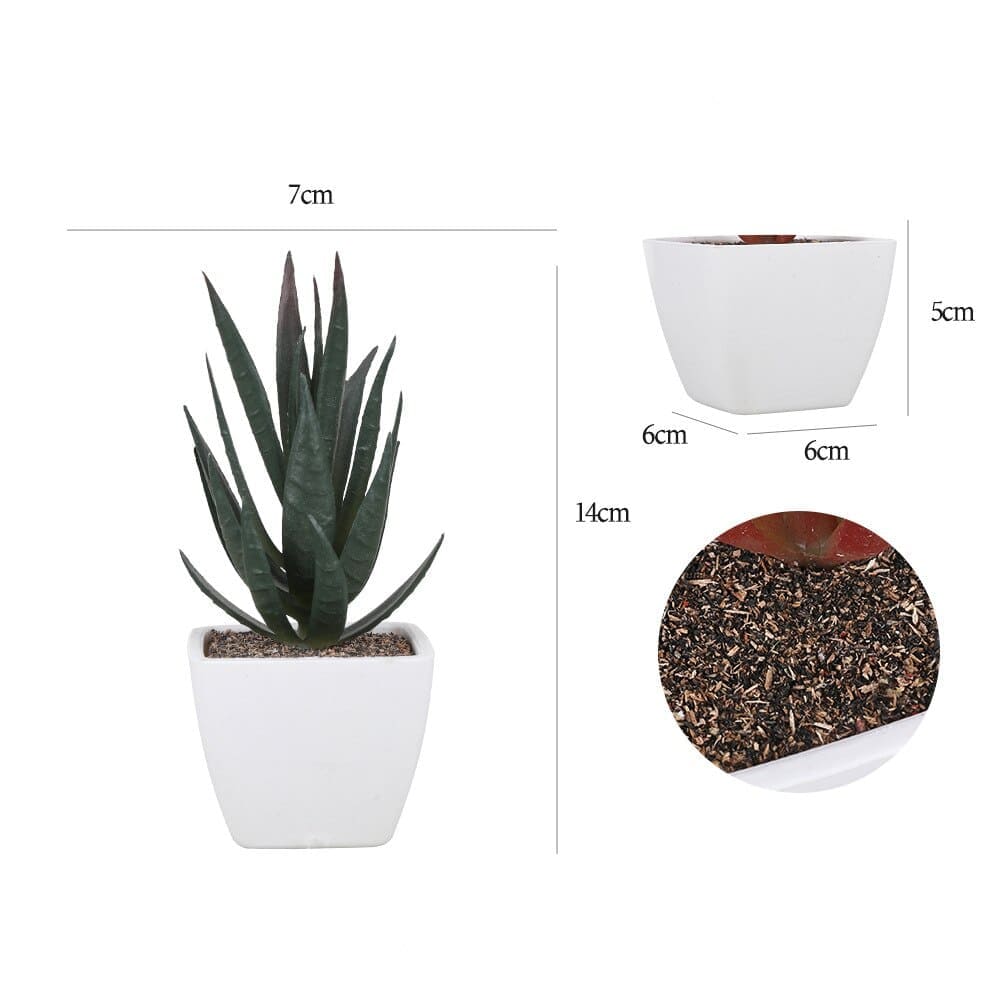 Aloe Vera Artificiel