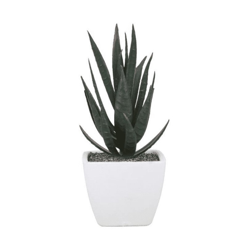 Aloe Vera Artificiel
