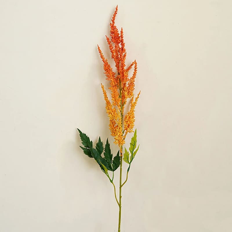 Astilbe de Chine Rouge en Pot