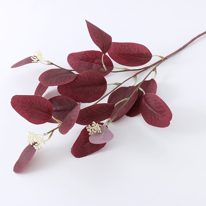 Bouquet Eucalyptus Naturel