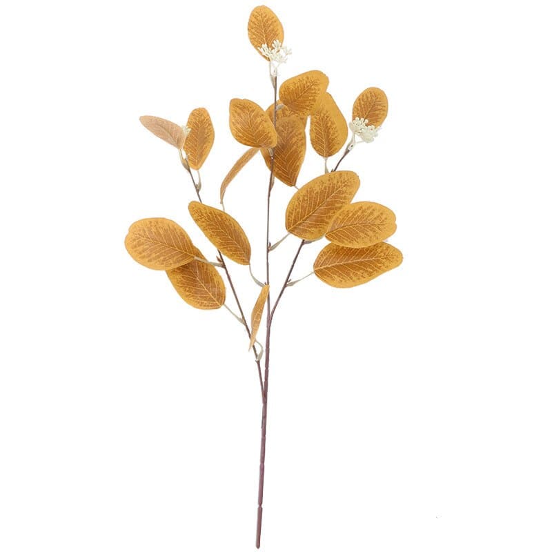 Bouquet Eucalyptus Naturel