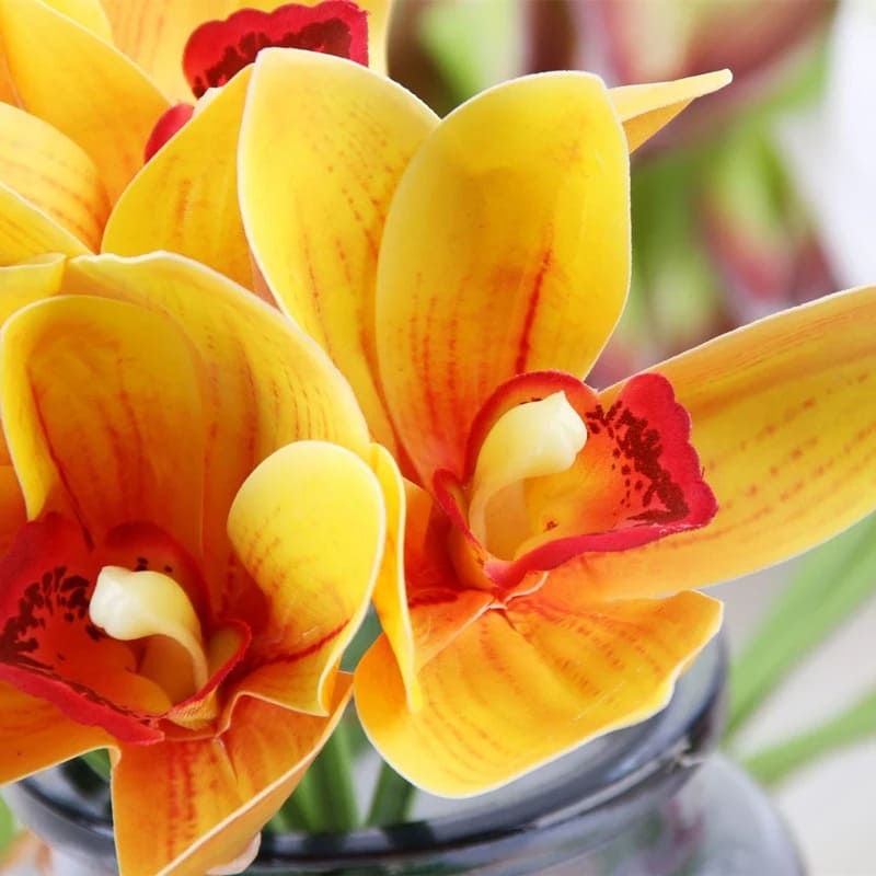 Bouquet d'Orchidées Luxueuses