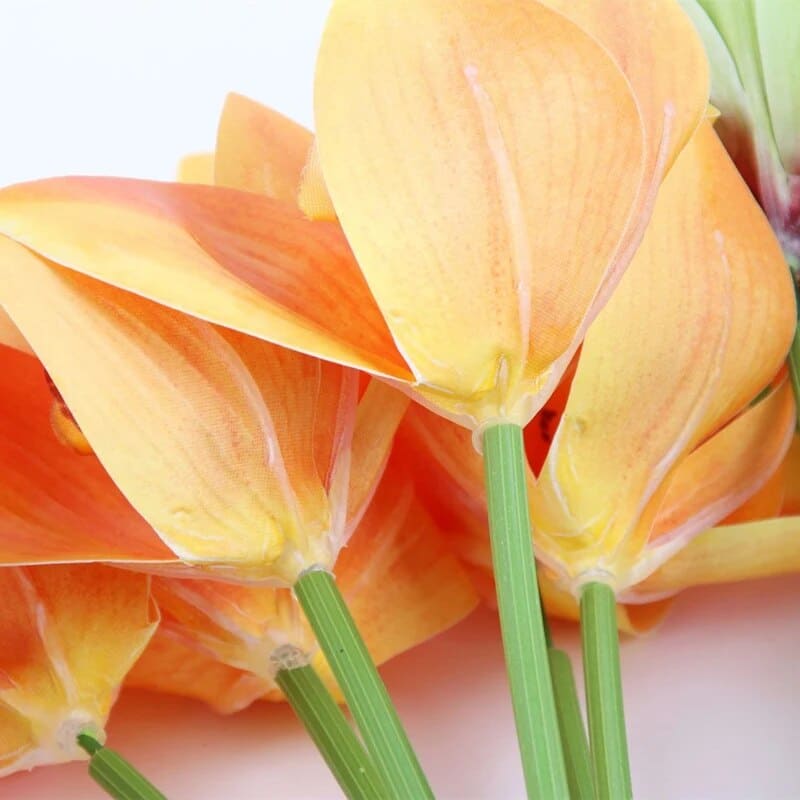 Bouquet d'Orchidées Luxueuses