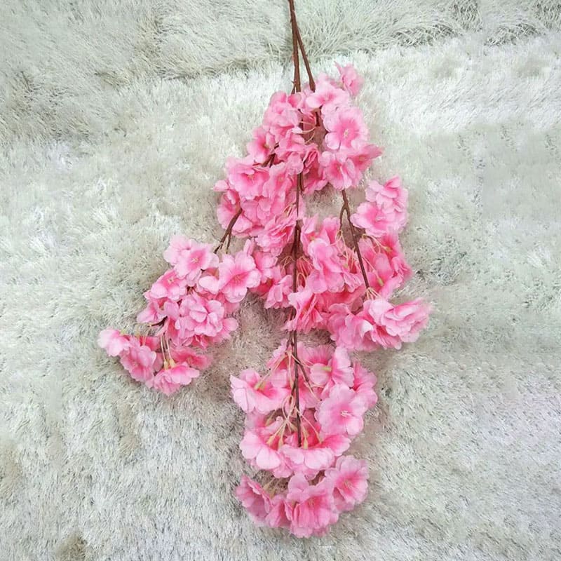 Fleur de Cerisier