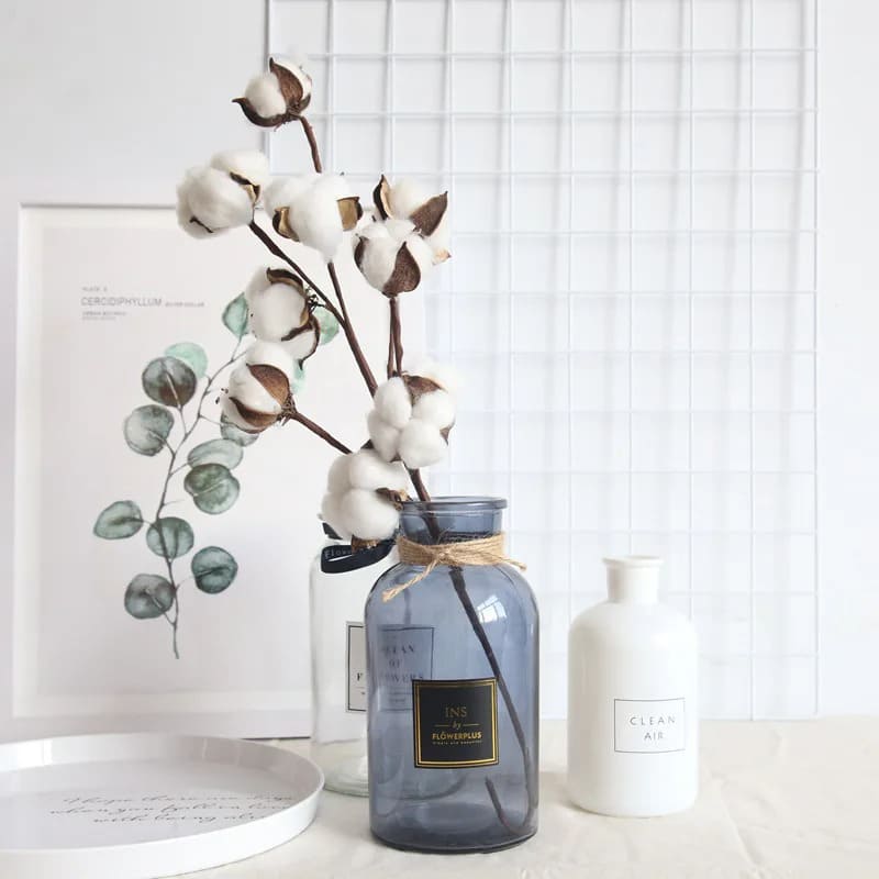 Branche de Coton Blanc Naturel 100% Pur