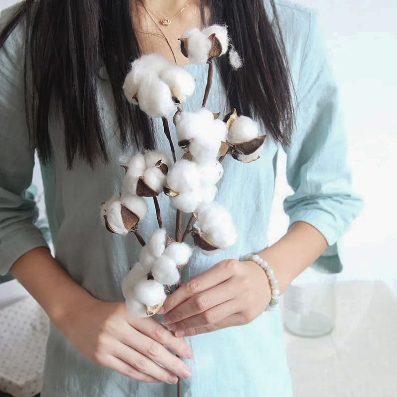 Branche de Coton Blanc Naturel 100% Pur