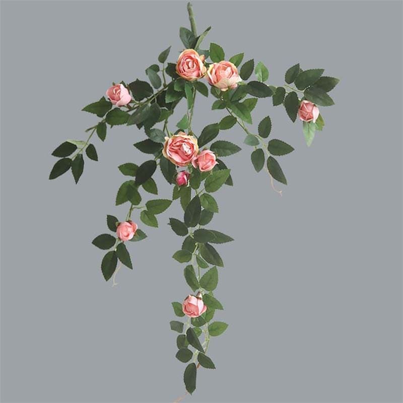 Branche de Rose