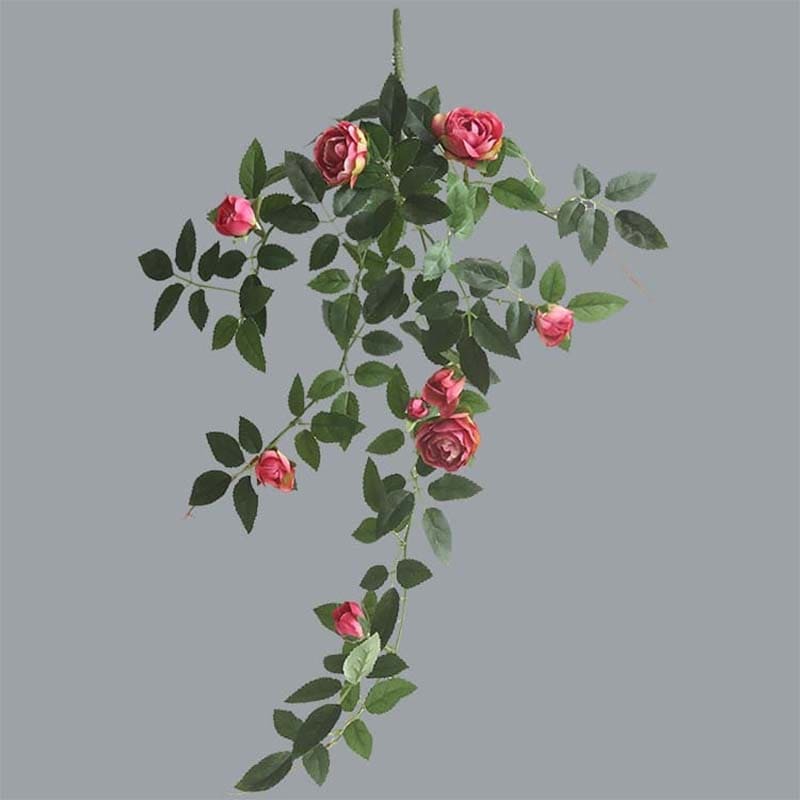 Branche de Rose