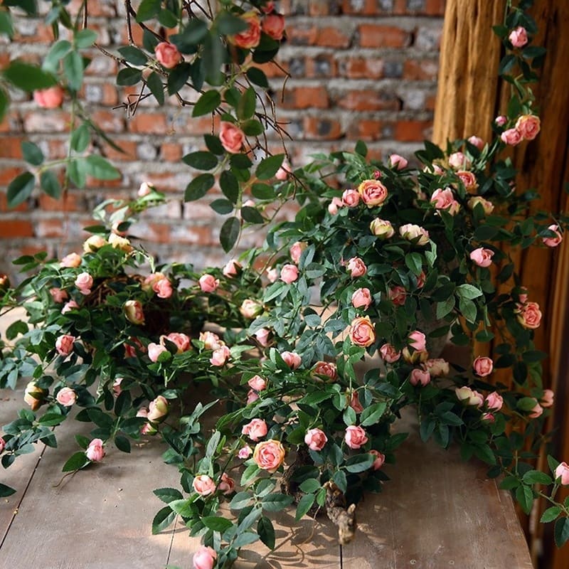 Branche de Rose