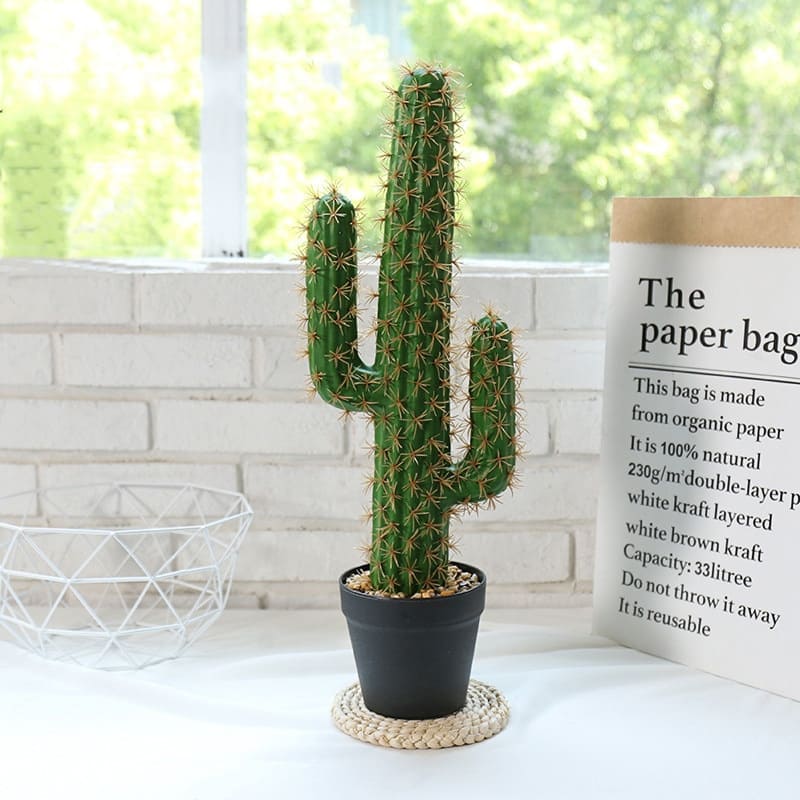 Cactus Déco Intérieur