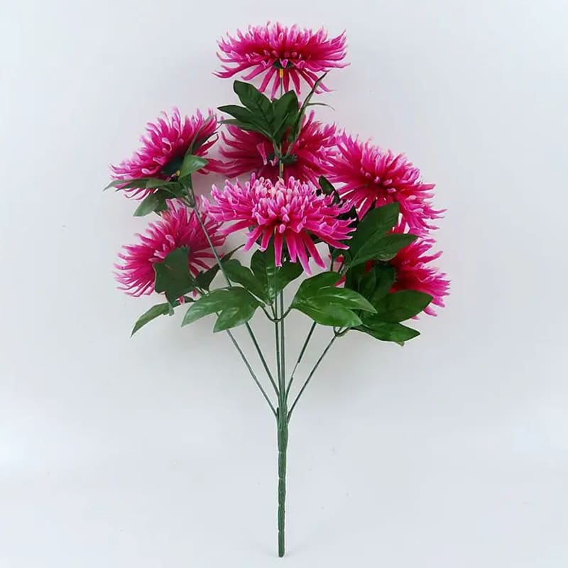Chrysanthemum Orchid Helen