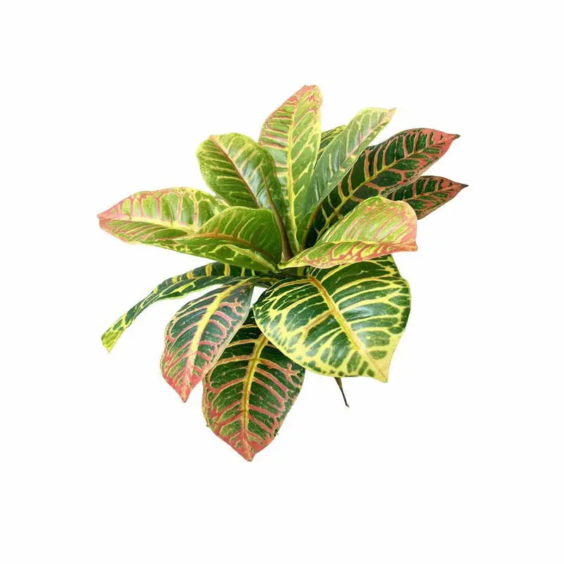 Croton Artificiel - Décoration Intérieure aux Couleurs Vives