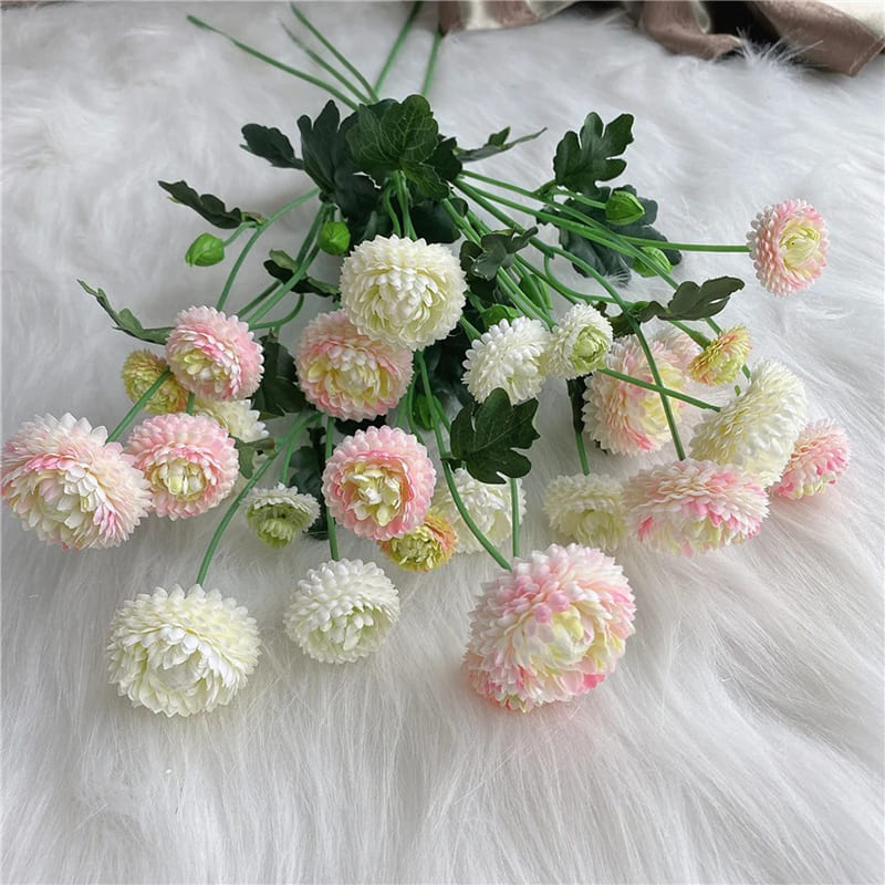 Dahlia Pompon
