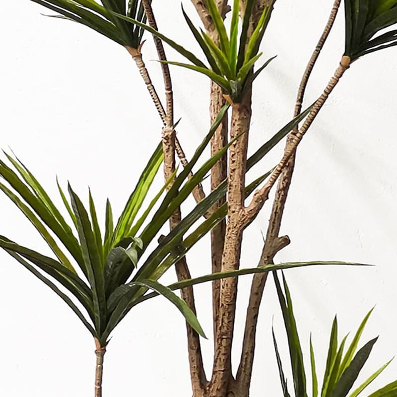 Plante Artificielle Dracaena Marginata