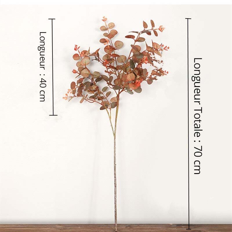 Eucalyptus Automne