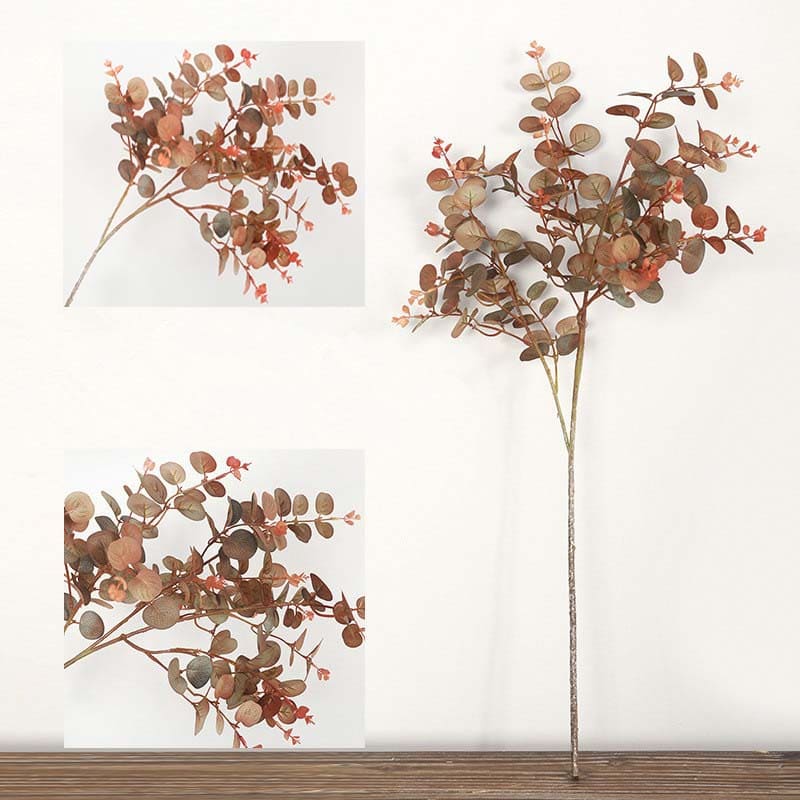 Eucalyptus Automne