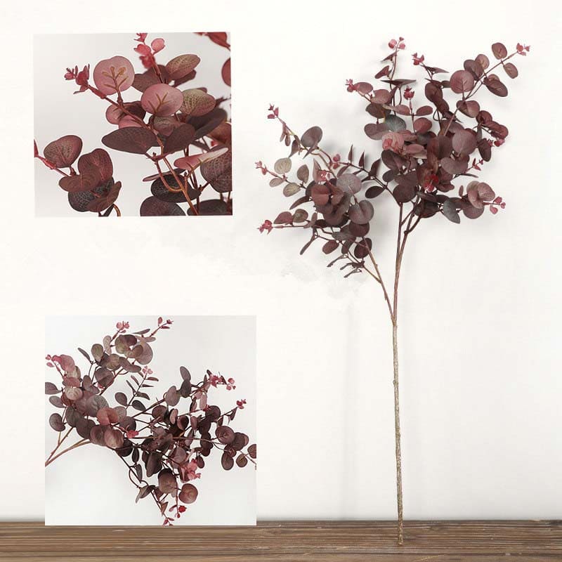 Eucalyptus Automne
