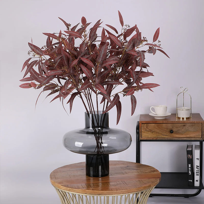 Eucalyptus Globulus