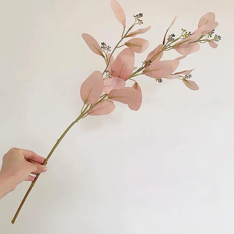 Eucalyptus Rose