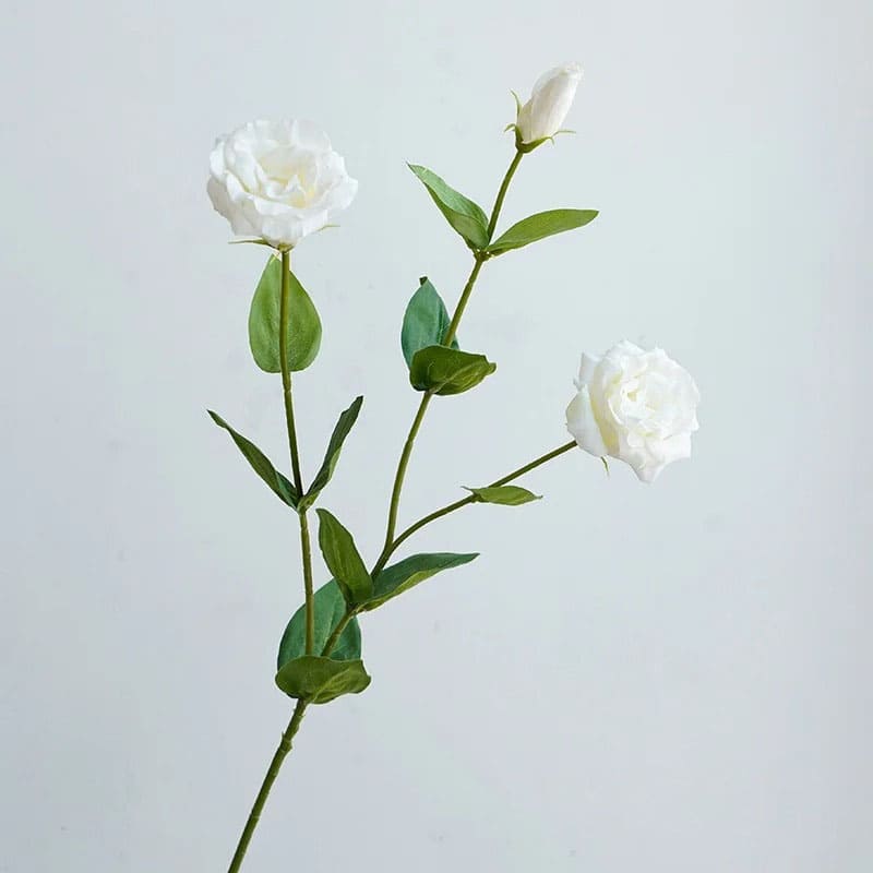 Eustoma Lisianthus: Bouquet de Fleurs Fraîches