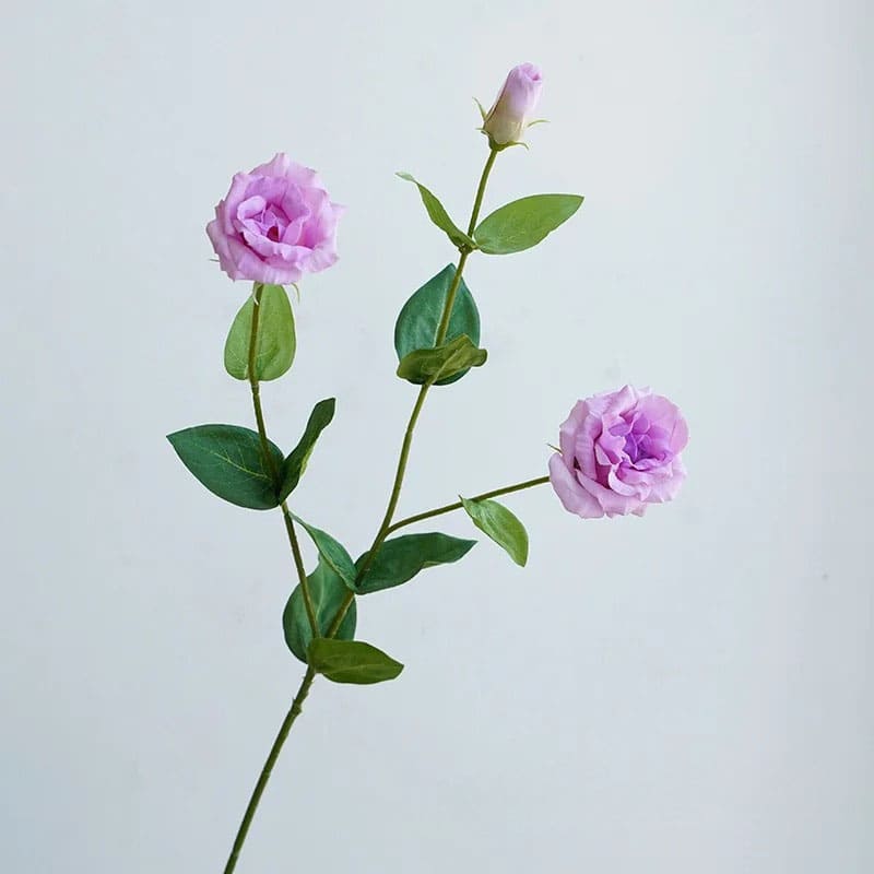 Eustoma Lisianthus: Bouquet de Fleurs Fraîches