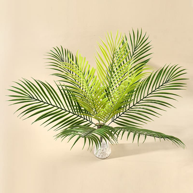 Fausse Palme de Palmier