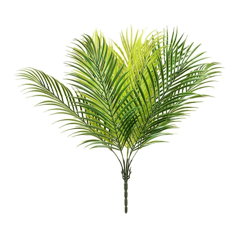 Fausse Palme de Palmier