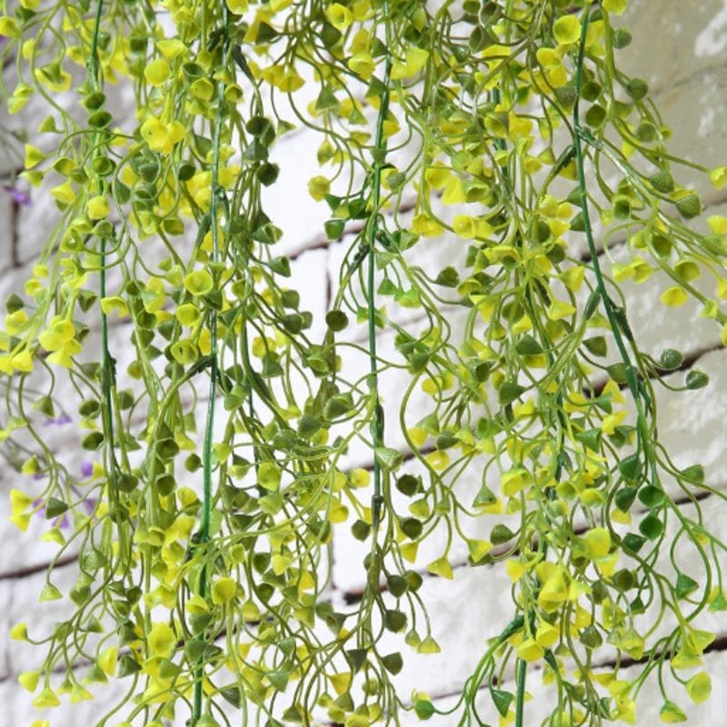 Fleurs Tombantes