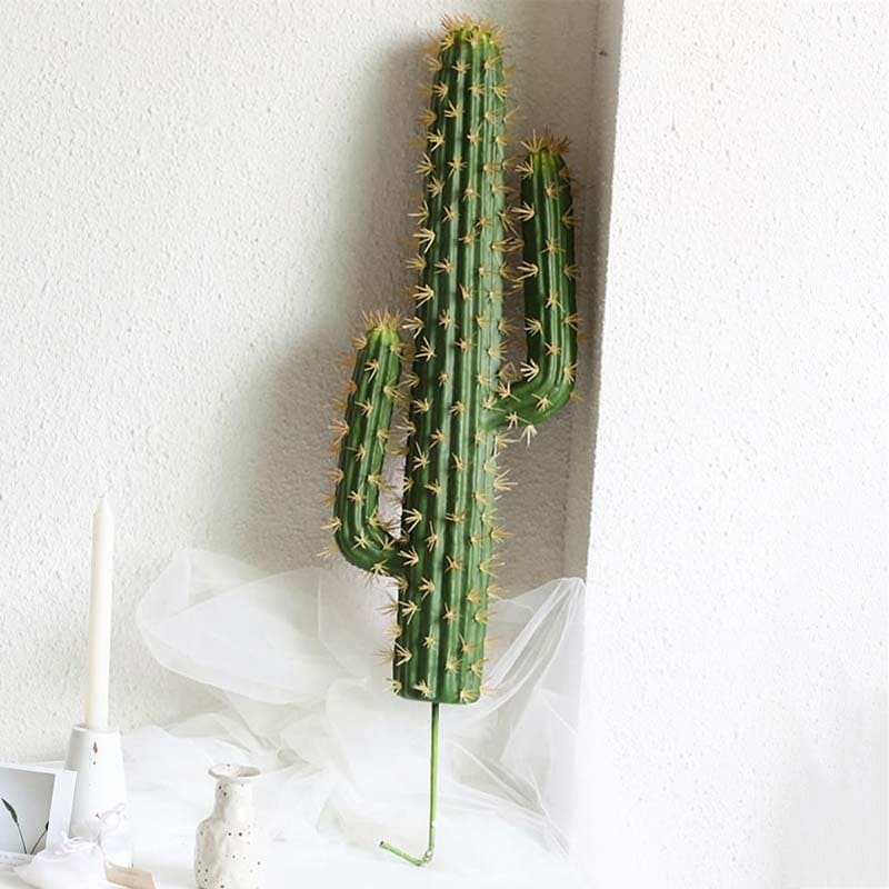 Cactus Déco Intérieur