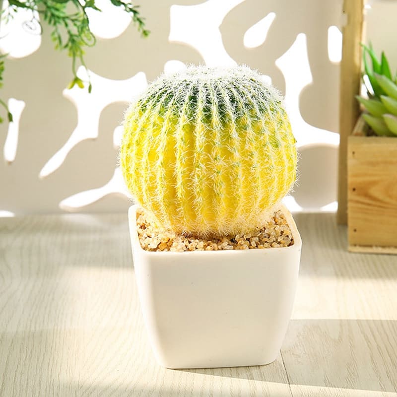 Faux Cactus Artificiel