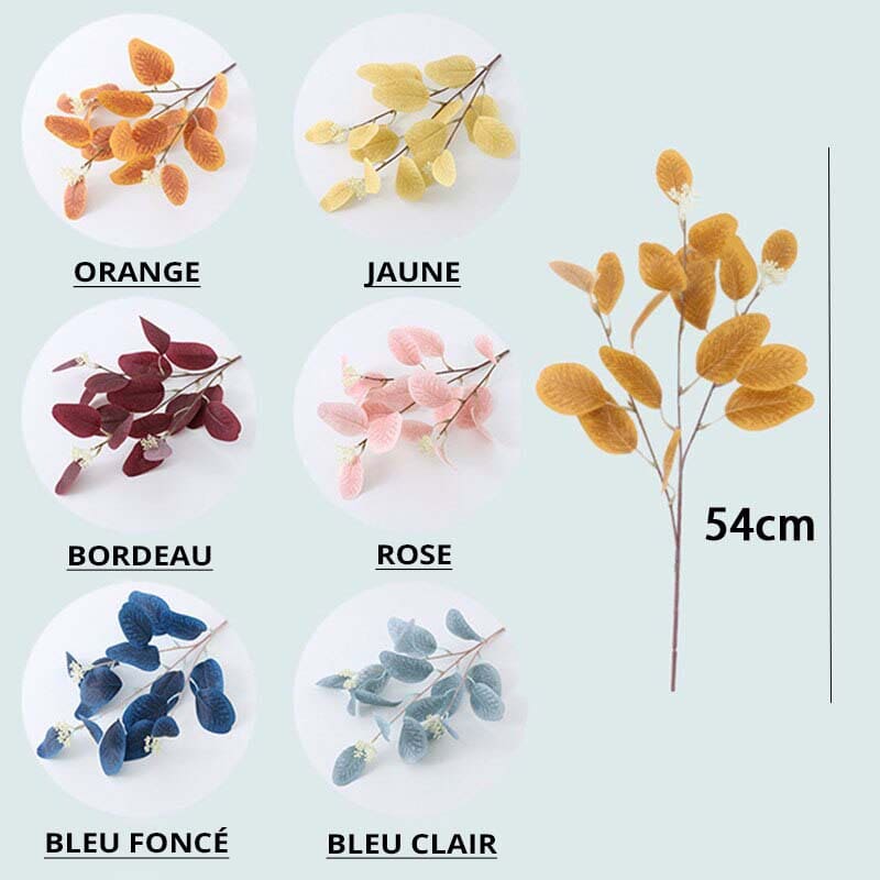 Bouquet Eucalyptus Naturel