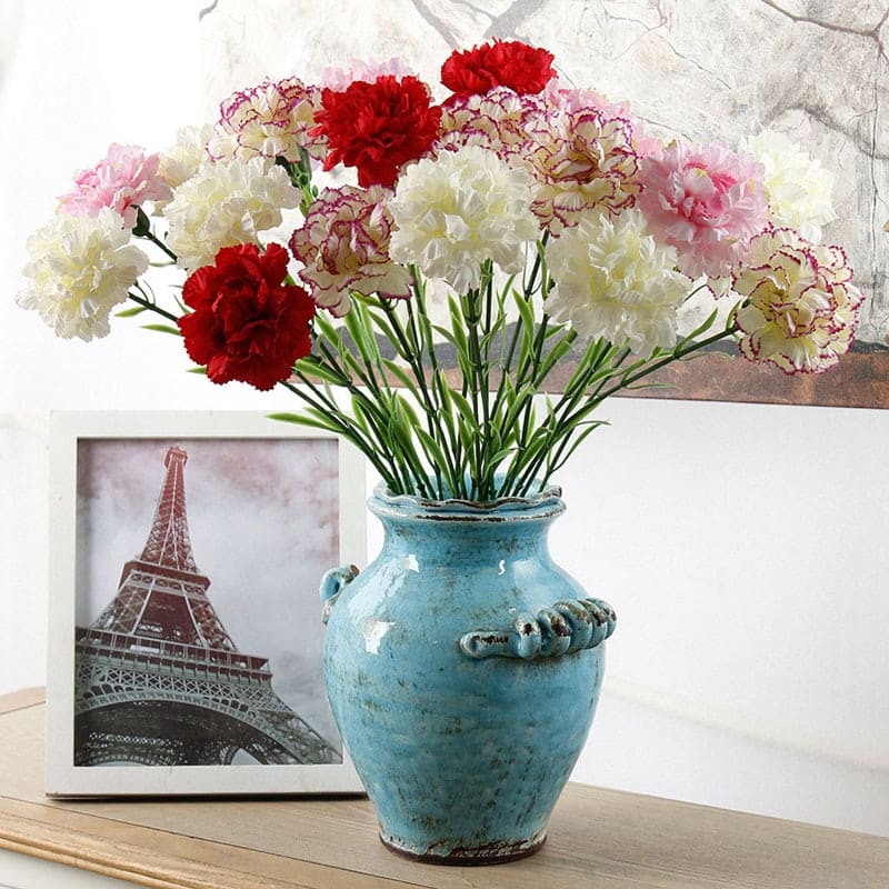 Carnation Flowers