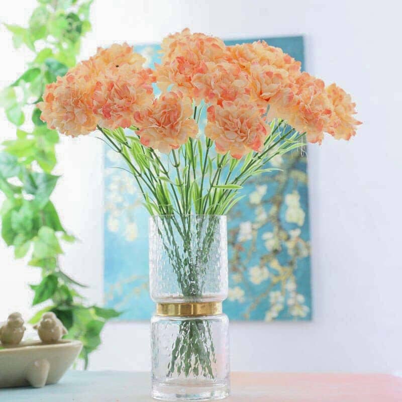 Carnation Flowers