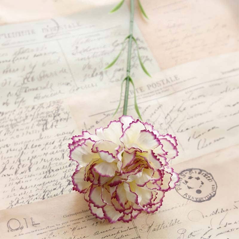 Carnation Flowers