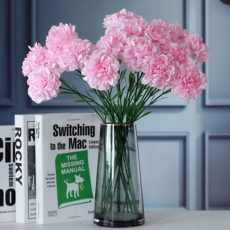 Carnation Flowers