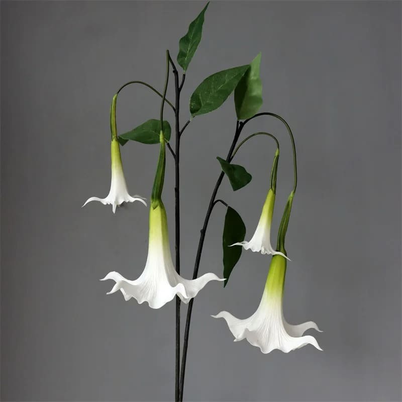 Fleur Datura.