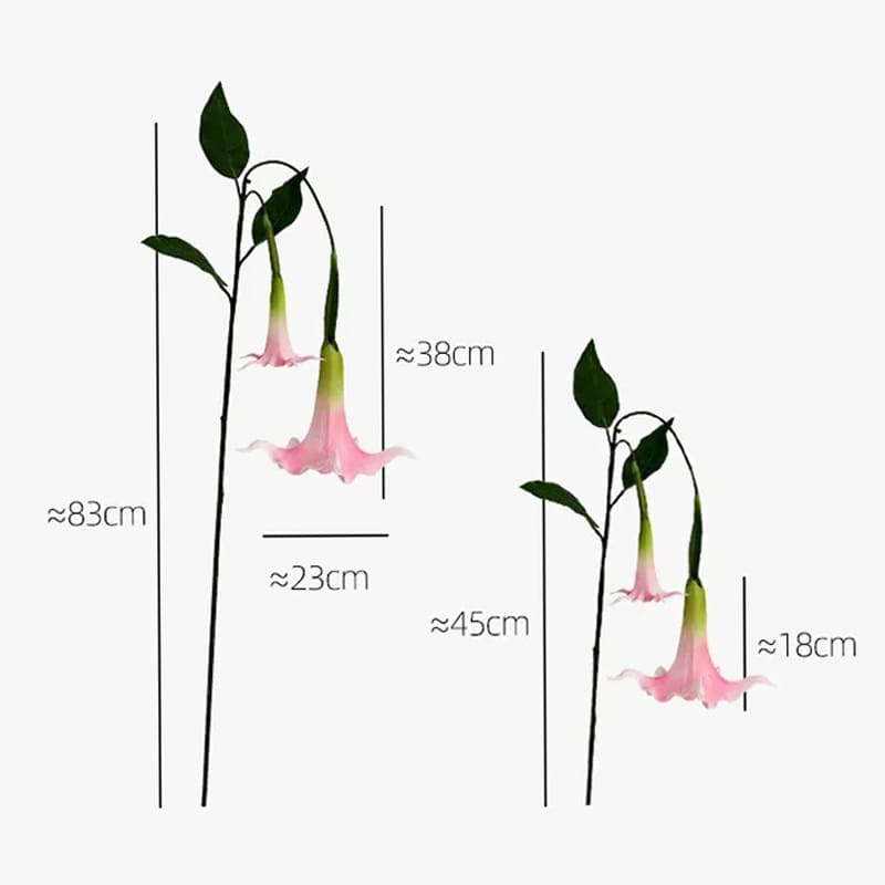 Fleur Datura.
