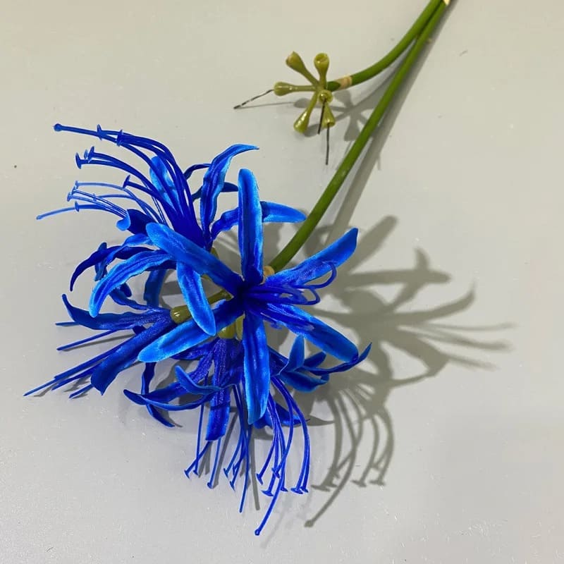 Fleur Higanbana Japonaise