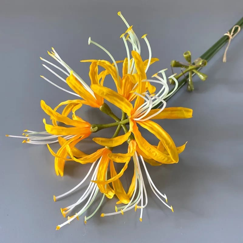 Fleur Higanbana Japonaise