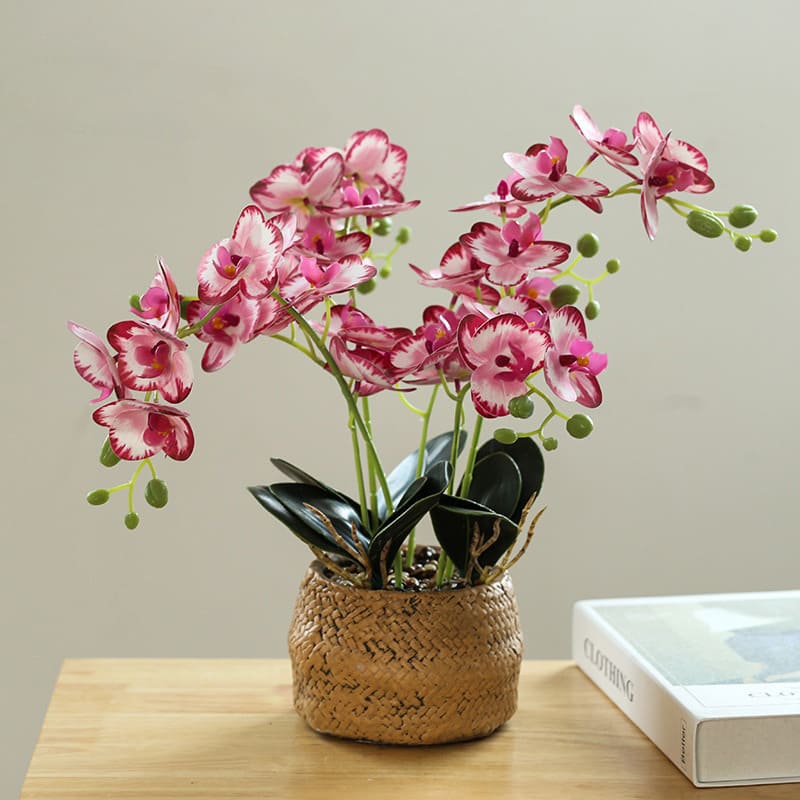Orchidée Blanche en Soie