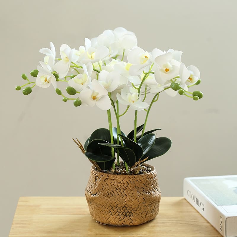 Orchidée Blanche en Soie