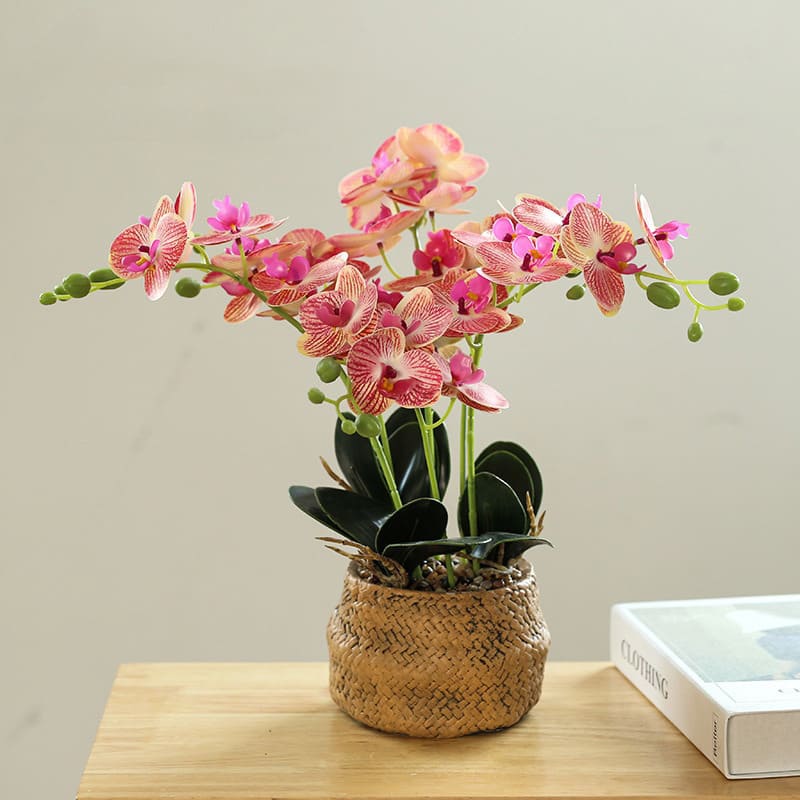 Orchidée Blanche en Soie