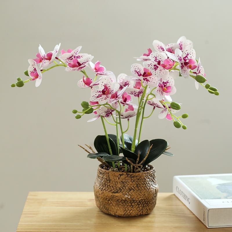 Orchidée Blanche en Soie