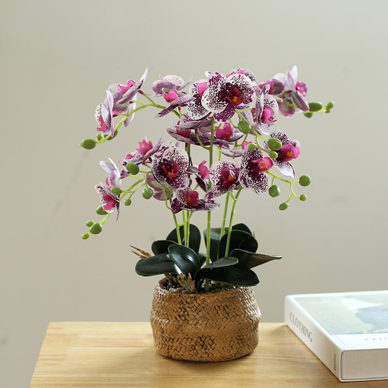 Orchidée Blanche en Soie