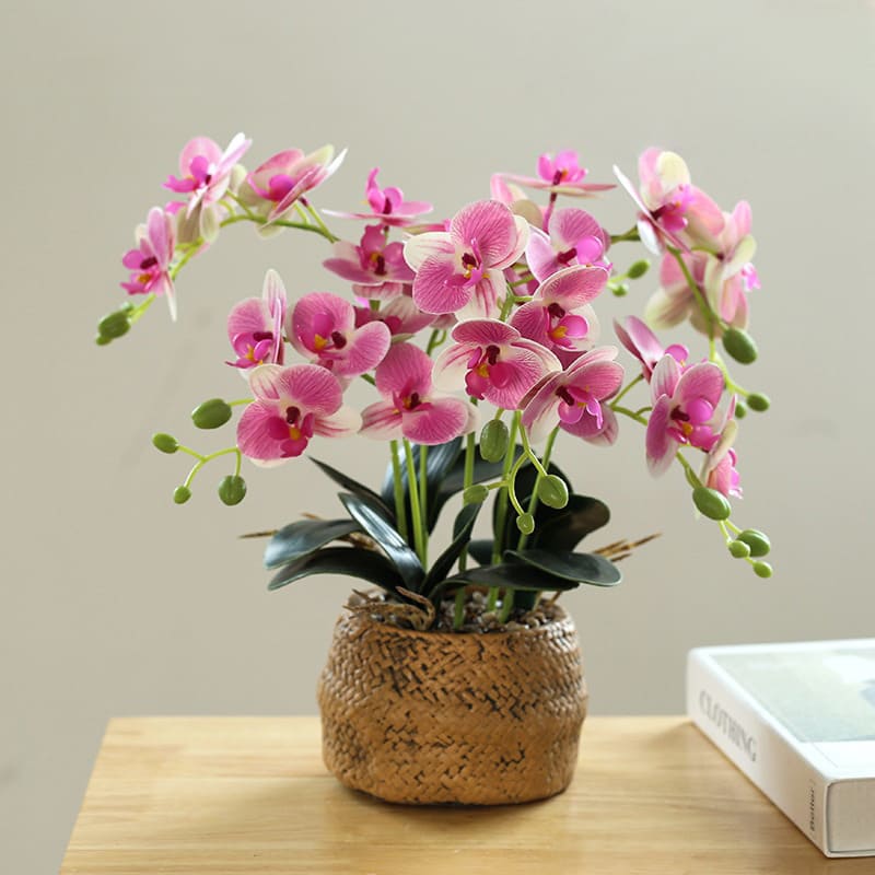 Orchidée Blanche en Soie