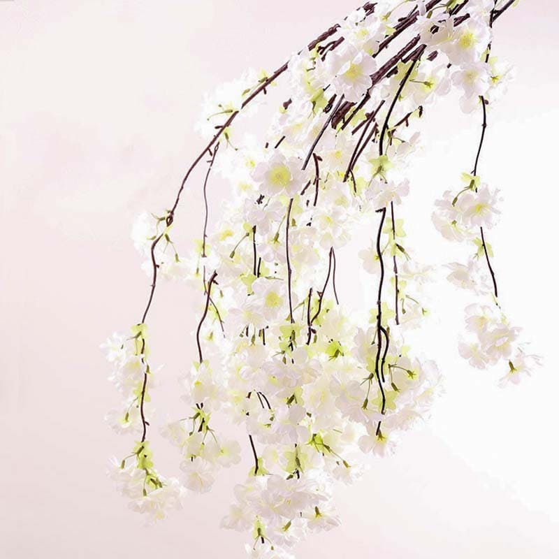 Fleur de Cerisier