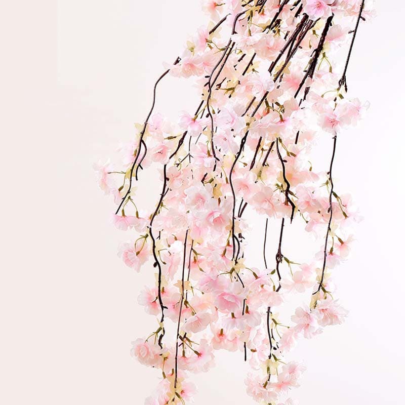 Fleur de Cerisier
