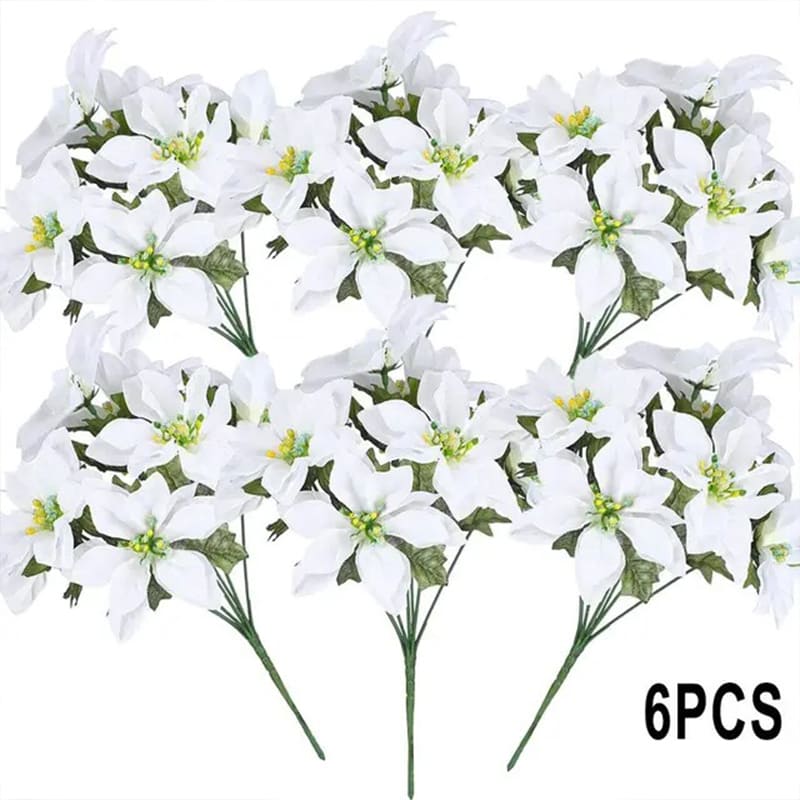 Poinsettia Rouge Intense